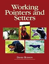 Working Pointers and Setters
