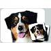 Australian Shepherd Dog Mouse Pad & Coasters Set