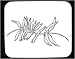 Decorated Mouse Pad with 