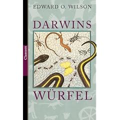 Darwins W�rfel