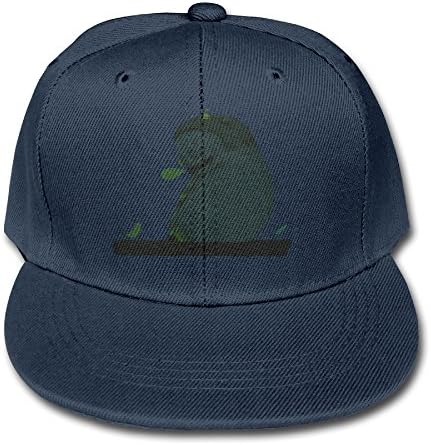 Sleeping Monster Blank Hat Men Sport Hunter Hat Big And Little Boys' Flat Peak