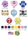Custom Engraved Stainless Steel with Enamel Pet I.D. Tag