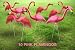 Garden Plast Pink Flamingos, 10-Pack