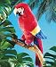 Scarlet Macaw Puppet