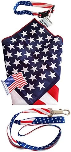 Patriotic Dog Collar &amp; Leash Combo Set - Size Sm/Med - Includes Flag Bandana, Flag Magnet &amp; Expert Dog Training E-Book