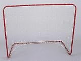 56' x 42' Street Hockey Goal from Markwort