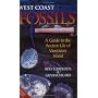West Coast Fossils: A Guide to the Ancient Life of&hellip by Rolf Ludvigsen