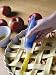 Kitchen & Housewares : Blue brush baster