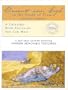 Vincent Van Gogh in the South of France 2004 Postcard Calendar