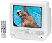Panasonic PV-C1332W 13-Inch TV/VCR Combo , White