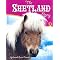 The Shetland Islands