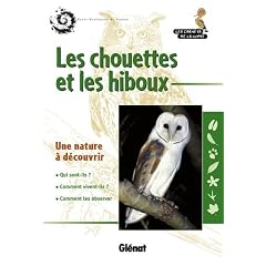 Les chouettes et les hiboux