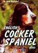 Cocker Spaniel heute