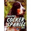 Cocker Spaniel heute