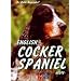 Cocker Spaniel heute
