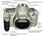 Nikon F55 35mm SLR Camera (Body Only)