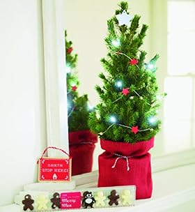 Children's Christmas Tree Gift