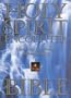 Holy Spirit Encounter Bible-Nlt