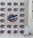 NCAA Florida Gators 7-Piece Frosty Bathroom Set