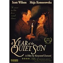 A Year of the Quiet Sun