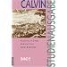 Calvin-Studienausgabe: Studienausgabe, 10 Bde., Bd.2, Gestalt und Ordnung der Kirche