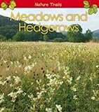 Meadows and hedgerows