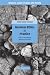 Business Ethics as Practice: Ethics as the Everyday Business of Business (Business, Value Creation, and Society)
