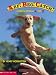 Books : Arf! Beg! Catch!: Dogs from A to Z