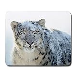 Large Mousepad of Apple Snow Leopard Logo