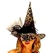 Witch Hat Leopard