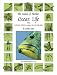 Book The Nature of Florida's Ocean Life : Including Coral Reefs, Gulf Stream, Sargasso Sea, and Sunken Ships