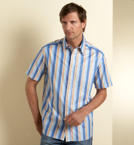 Big & Tall Autograph Pure Cotton Short Sleeve Stripe Shirt