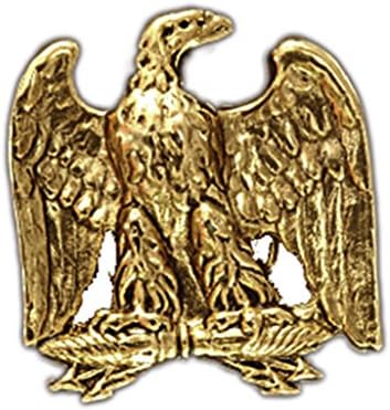 Outasight Patented Eyeglass/ID Holder Brooch:Bald Eagle