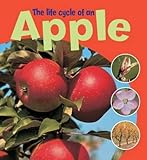 The life cycle of an apple