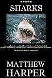 SHARKS: Amazing Facts, Awesome Shark Trivia, Cool Pictures & Fun Quiz for Kids - The BEST Book Strategy That Helps Guide Children to Learn Using Their ... of Animals in Our World (Did You Know 14)