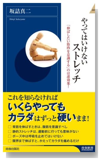 やってはいけないストレッチ (青春新書インテリジェンス)