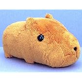 きゅぴきゅぴカピバラさんぬいぐるみ