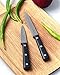 Culina 5-inch Utility Knife and 3.5-inch Paring Knife, 2-piece Set, Full-tang
