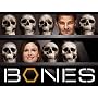 Bones Season 4