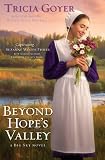 Beyond Hopes Valley: A Big Sky Novel