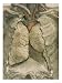 Lung Heart Chest Cavity Cutaway Giclee Poster Print, 12x16