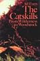 The Catskills: From Wilderness to Woodstock, Revised and Updated