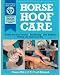 51A6Bo Xa7L. SL75  Four Ways to Teach Your Horse Respect