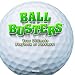 Books : Golf: Your Ultimate Playbook of Puzzlers! (Ball Busters)
