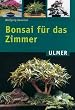 Bonsai f�r das Zimmer