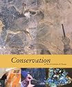 Conservation at the Art Institute of Chicago (Museum Studies (Art Institute of Chicago))