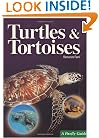 Turtles and Tortoises