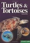 Turtles and Tortoises