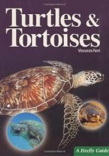 Turtles and Tortoises