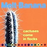 Cactuses Come in Flocks